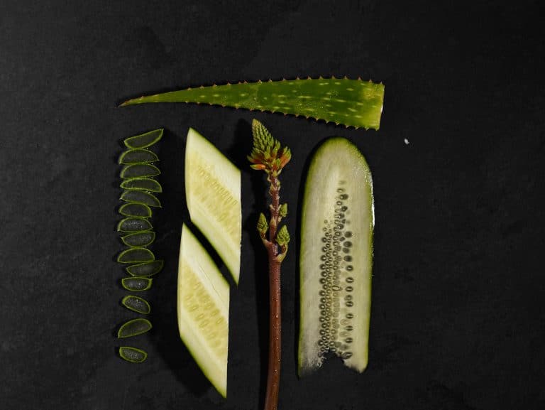 Stylized Ingredient Flatlay